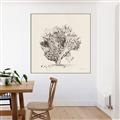 Picture of Coral Sketch II _GroupedProduct_Square_Canvas_Framed_