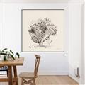 Picture of Coral Sketch II _GroupedProduct_Square_Canvas_Framed_