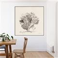 Picture of Coral Sketch II _GroupedProduct_Square_Canvas_Framed_