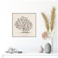 Picture of Coral Sketch I _GroupedProduct_Square_Canvas_Framed_