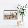 Picture of Windy Whisps _GroupedProduct_Rectangle_Landscape_Photography _GroupedProduct_Rectangle_Landscape_Canvas_Framed_