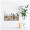 Picture of Windy Whisps _GroupedProduct_Rectangle_Landscape_Photography _GroupedProduct_Rectangle_Landscape_Canvas_Framed_