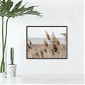 Picture of Windy Whisps _GroupedProduct_Rectangle_Landscape_Photography _GroupedProduct_Rectangle_Landscape_Canvas_Framed_