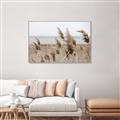 Picture of Windy Whisps _GroupedProduct_Rectangle_Landscape_Photography _GroupedProduct_Rectangle_Landscape_Canvas_Framed_