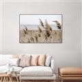 Picture of Windy Whisps _GroupedProduct_Rectangle_Landscape_Photography _GroupedProduct_Rectangle_Landscape_Canvas_Framed_