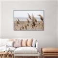 Picture of Windy Whisps _GroupedProduct_Rectangle_Landscape_Photography _GroupedProduct_Rectangle_Landscape_Canvas_Framed_