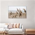 Picture of Windy Whisps _GroupedProduct_Rectangle_Landscape_Photography _GroupedProduct_Rectangle_Landscape_Canvas_Framed_