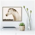 Picture of White Beauty _GroupedProduct_Rectangle_Landscape_Photography _GroupedProduct_Rectangle_Landscape_Canvas_Framed_