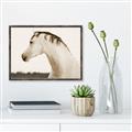 Picture of White Beauty _GroupedProduct_Rectangle_Landscape_Photography _GroupedProduct_Rectangle_Landscape_Canvas_Framed_
