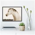 Picture of White Beauty _GroupedProduct_Rectangle_Landscape_Photography _GroupedProduct_Rectangle_Landscape_Canvas_Framed_