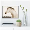 Picture of White Beauty _GroupedProduct_Rectangle_Landscape_Photography _GroupedProduct_Rectangle_Landscape_Canvas_Framed_
