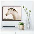 Picture of White Beauty _GroupedProduct_Rectangle_Landscape_Photography _GroupedProduct_Rectangle_Landscape_Canvas_Framed_