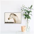 Picture of White Beauty _GroupedProduct_Rectangle_Landscape_Photography _GroupedProduct_Rectangle_Landscape_Canvas_Framed_