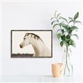 Picture of White Beauty _GroupedProduct_Rectangle_Landscape_Photography _GroupedProduct_Rectangle_Landscape_Canvas_Framed_