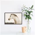 Picture of White Beauty _GroupedProduct_Rectangle_Landscape_Photography _GroupedProduct_Rectangle_Landscape_Canvas_Framed_