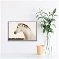 Picture of White Beauty _GroupedProduct_Rectangle_Landscape_Photography _GroupedProduct_Rectangle_Landscape_Canvas_Framed_