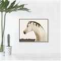 Picture of White Beauty _GroupedProduct_Rectangle_Landscape_Photography _GroupedProduct_Rectangle_Landscape_Canvas_Framed_