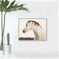 Picture of White Beauty _GroupedProduct_Rectangle_Landscape_Photography _GroupedProduct_Rectangle_Landscape_Canvas_Framed_