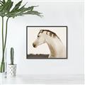 Picture of White Beauty _GroupedProduct_Rectangle_Landscape_Photography _GroupedProduct_Rectangle_Landscape_Canvas_Framed_