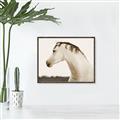 Picture of White Beauty _GroupedProduct_Rectangle_Landscape_Photography _GroupedProduct_Rectangle_Landscape_Canvas_Framed_