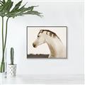 Picture of White Beauty _GroupedProduct_Rectangle_Landscape_Photography _GroupedProduct_Rectangle_Landscape_Canvas_Framed_