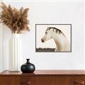 Picture of White Beauty _GroupedProduct_Rectangle_Landscape_Photography _GroupedProduct_Rectangle_Landscape_Canvas_Framed_