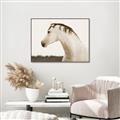 Picture of White Beauty _GroupedProduct_Rectangle_Landscape_Photography _GroupedProduct_Rectangle_Landscape_Canvas_Framed_