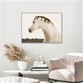 Picture of White Beauty _GroupedProduct_Rectangle_Landscape_Photography _GroupedProduct_Rectangle_Landscape_Canvas_Framed_