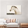 Picture of White Beauty _GroupedProduct_Rectangle_Landscape_Photography _GroupedProduct_Rectangle_Landscape_Canvas_Framed_