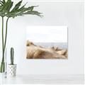 Picture of Foreshore _GroupedProduct_Rectangle_Landscape_Unframed_Print_Only_