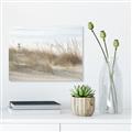 Picture of Seaside Grass _GroupedProduct_Rectangle_Landscape_Unframed_Print_Only_