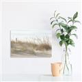 Picture of Seaside Grass _GroupedProduct_Rectangle_Landscape_Unframed_Print_Only_