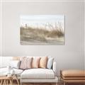 Picture of Seaside Grass _GroupedProduct_Rectangle_Landscape_Unframed_Print_Only_