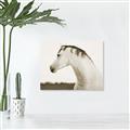 Picture of White Beauty _GroupedProduct_Rectangle_Landscape_Photography _GroupedProduct_Rectangle_Landscape_Unframed_Print_Only_