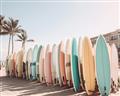 Picture of Surfboards in the Sand _GroupedProduct_Rectangle_Landscape_Photography _GroupedProduct_Rectangle_Landscape_Unframed_Print_Only_