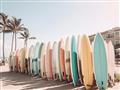Picture of Surfboards in the Sand _GroupedProduct_Rectangle_Landscape_Photography _GroupedProduct_Rectangle_Landscape_Unframed_Print_Only_