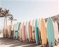 Picture of Surfboards in the Sand _GroupedProduct_Rectangle_Landscape_Photography _GroupedProduct_Rectangle_Landscape_Unframed_Print_Only_