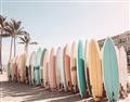 Picture of Surfboards in the Sand _GroupedProduct_Rectangle_Landscape_Photography _GroupedProduct_Rectangle_Landscape_Unframed_Print_Only_