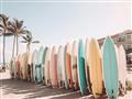 Picture of Surfboards in the Sand _GroupedProduct_Rectangle_Landscape_Photography _GroupedProduct_Rectangle_Landscape_Unframed_Print_Only_