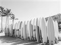 Picture of Surfboards in the Sand _GroupedProduct_Rectangle_Landscape_Photography _GroupedProduct_Rectangle_Landscape_Unframed_Print_Only_
