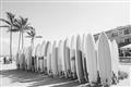 Picture of Surfboards in the Sand _GroupedProduct_Rectangle_Landscape_Photography _GroupedProduct_Rectangle_Landscape_Unframed_Print_Only_