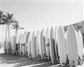 Picture of Surfboards in the Sand _GroupedProduct_Rectangle_Landscape_Photography _GroupedProduct_Rectangle_Landscape_Unframed_Print_Only_