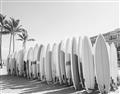 Picture of Surfboards in the Sand _GroupedProduct_Rectangle_Landscape_Photography _GroupedProduct_Rectangle_Landscape_Unframed_Print_Only_