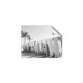 Picture of Surfboards in the Sand _GroupedProduct_Rectangle_Landscape_Photography _GroupedProduct_Rectangle_Landscape_Unframed_Print_Only_