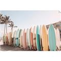 Picture of Surfboards in the Sand _GroupedProduct_Rectangle_Landscape_Photography _GroupedProduct_Rectangle_Landscape_Unframed_Print_Only_