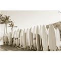 Picture of Surfboards in the Sand _GroupedProduct_Rectangle_Landscape_Photography _GroupedProduct_Rectangle_Landscape_Unframed_Print_Only_