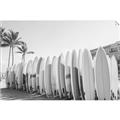 Picture of Surfboards in the Sand _GroupedProduct_Rectangle_Landscape_Photography _GroupedProduct_Rectangle_Landscape_Unframed_Print_Only_