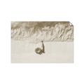 Picture of Girl Sleeping On Beach _GroupedProduct_Rectangle_Landscape_Photography _GroupedProduct_Rectangle_Landscape_Unframed_Print_Only_