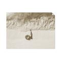 Picture of Girl Sleeping On Beach _GroupedProduct_Rectangle_Landscape_Photography _GroupedProduct_Rectangle_Landscape_Unframed_Print_Only_