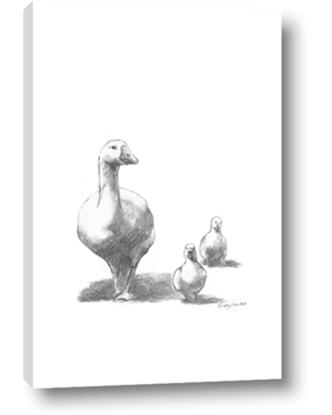 Picture of Duck and Chicks